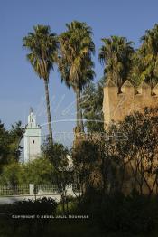 Image du Maroc Professionnelle de  La Kasbah de Saidia, construite à la fin du 19ème siècle à l’embouchure orientale de l’Oued Kiss par le Sultan Hassan Ier, marque la naissance de ce hameau. Sa position stratégique, en face de l’Algérie, servait de frontière et permettait au Sultan de surveiller les passages. Non loin se situe Le site balnéaire de Saidia surnommée « la perle bleue » fait partie des plus longues plages du royaume, avec ses 14 kilomètres caractérisée par son sable fin et doré, ainsi que son climat méditerranéen, Lundi 15 Janvier 2007. (Photo / Abdeljalil Bounhar)

